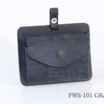FWS-101