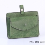FWS-101