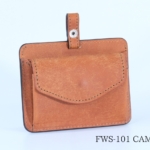 FWS-101